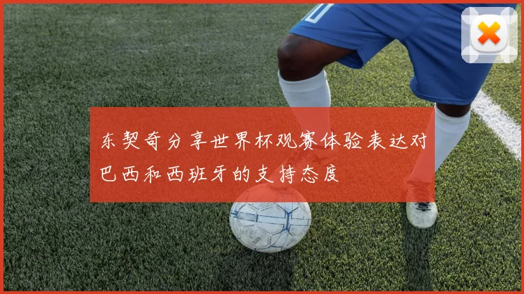 东契奇分享世界杯观赛体验表达对巴西和西班牙的支持态度